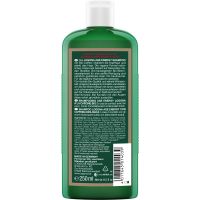 Logona Age Energy Shampoo Bio-Coffein 250ml